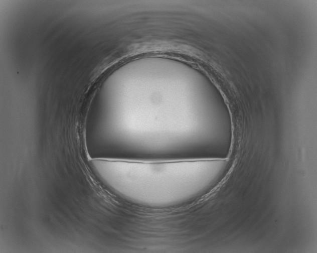 X0000083991497200702160717