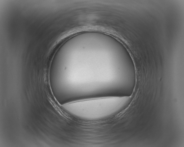 X0000083991499200702160717