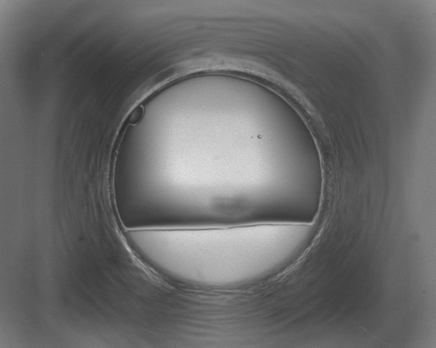 X0000083991513200702160717