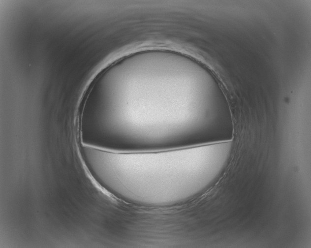 X0000083991519200702160717