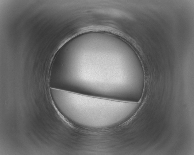 X0000083991521200702160717