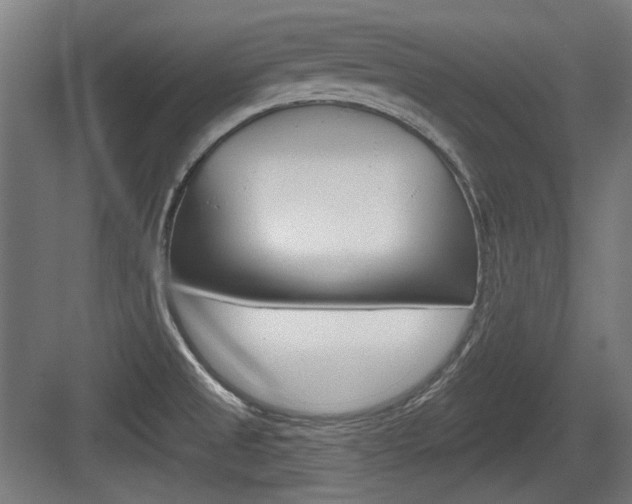 X0000083991525200702160717