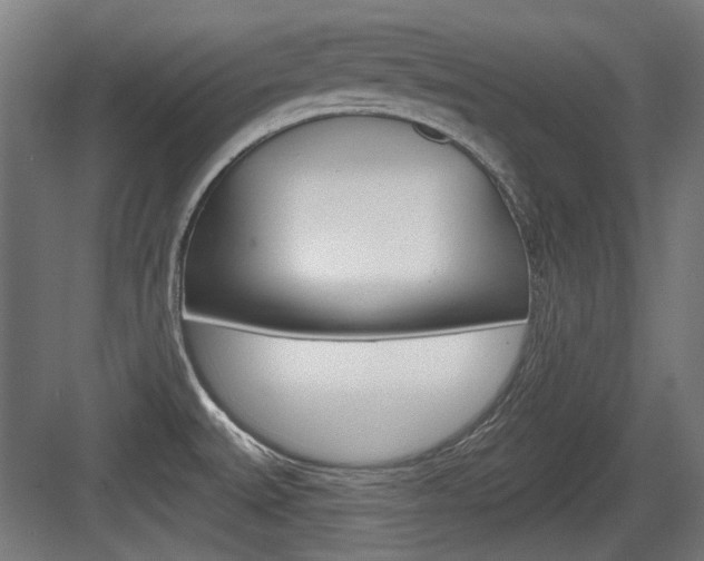 X0000083991527200702160717