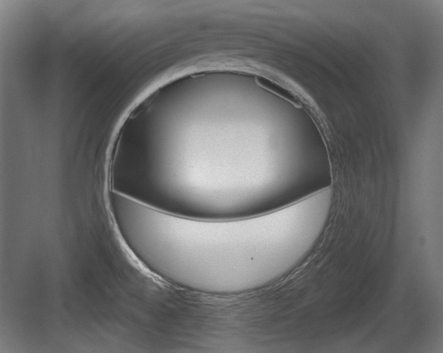 X0000083991528200702160717