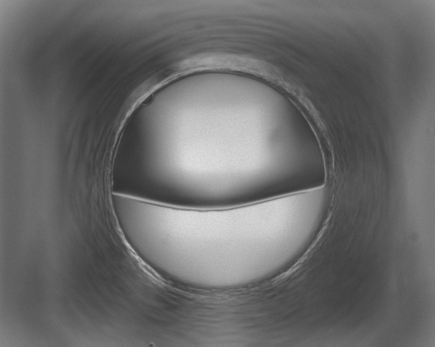 X0000083991529200702160717
