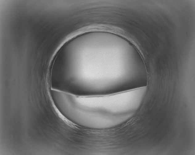 X0000083991531200702160717