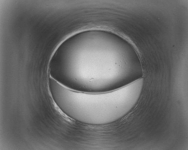 X0000083991532200702160718