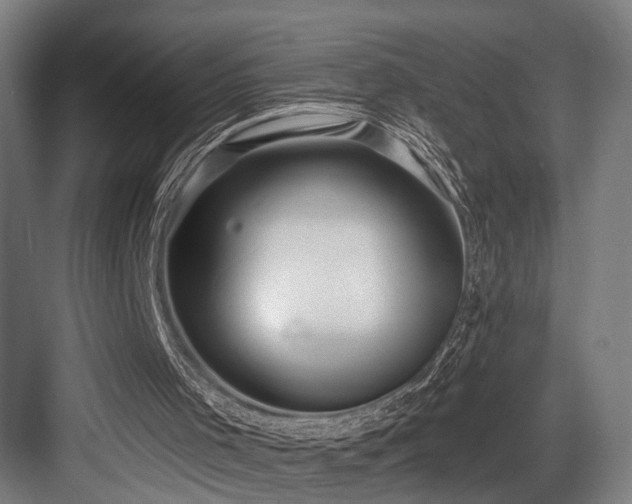 X0000083990001200702161144