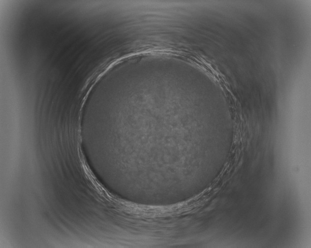 X0000083990002200702161144