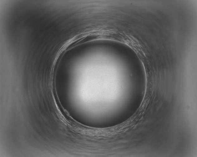 X0000083990003200702161144