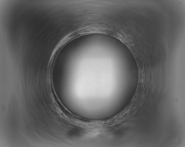 X0000083990004200702161144