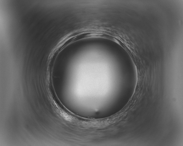 X0000083990005200702161144