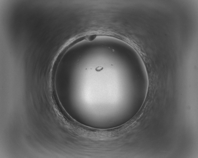 X0000083990008200702161144