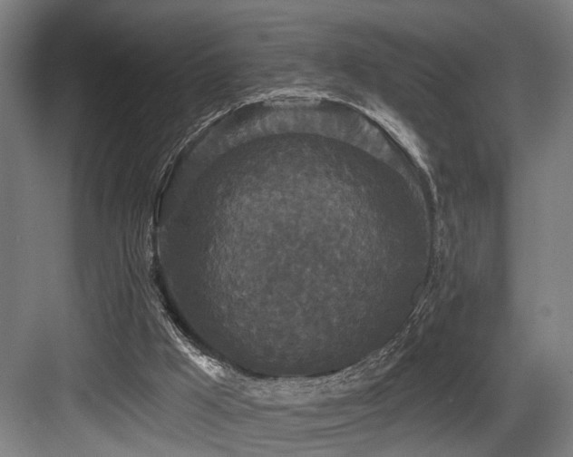 X0000083990009200702161144