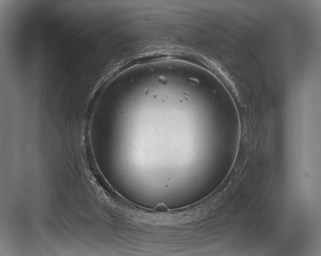 X0000083990010200702161144