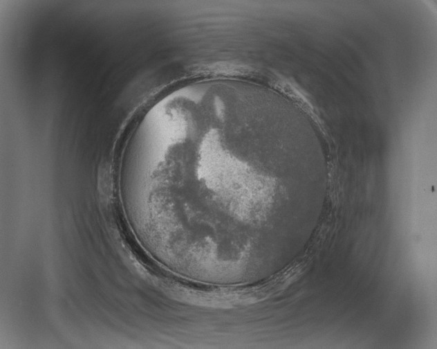 X0000083990012200702161144