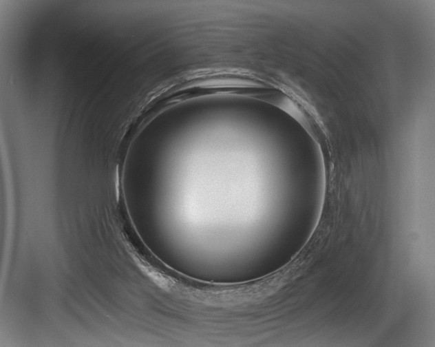 X0000083990013200702161144