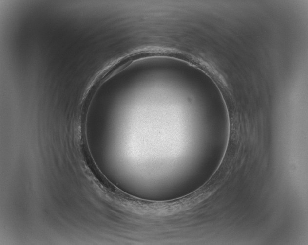 X0000083990015200702161144