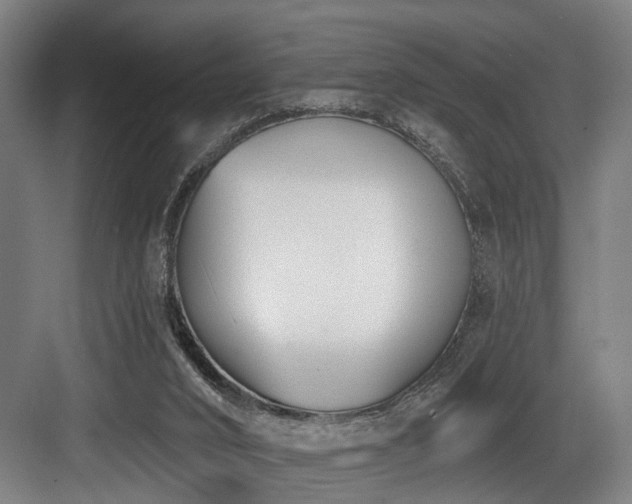 X0000083990016200702161144