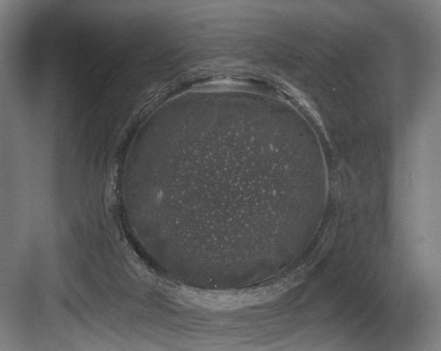 X0000083990018200702161144