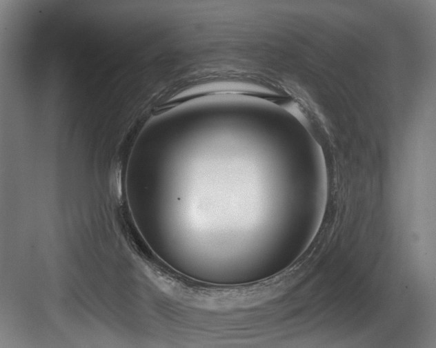 X0000083990021200702161144