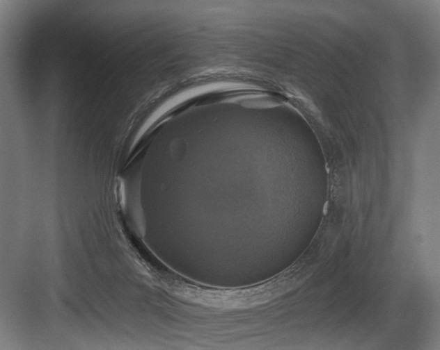 X0000083990023200702161144