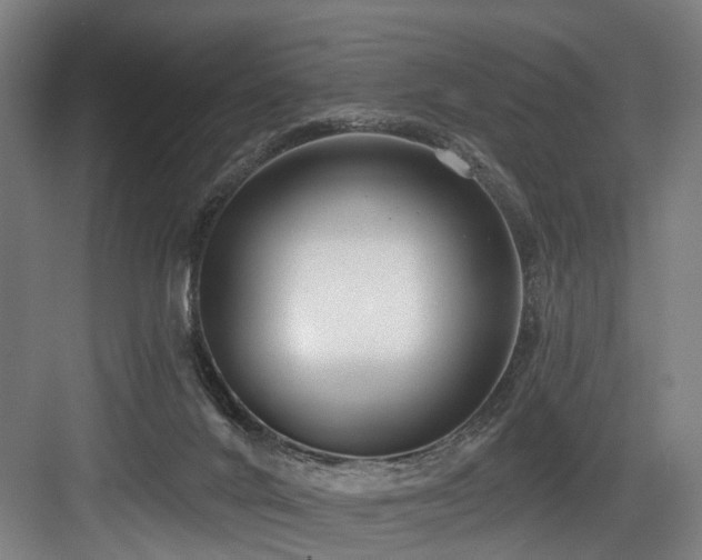 X0000083990024200702161144