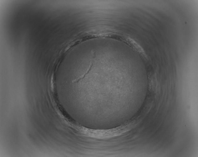 X0000083990026200702161144