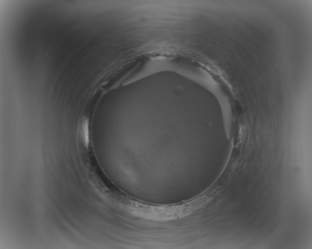 X0000083990027200702161144