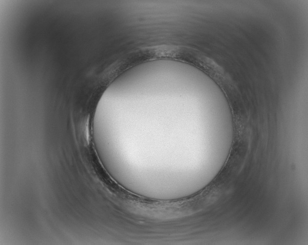 X0000083990028200702161144