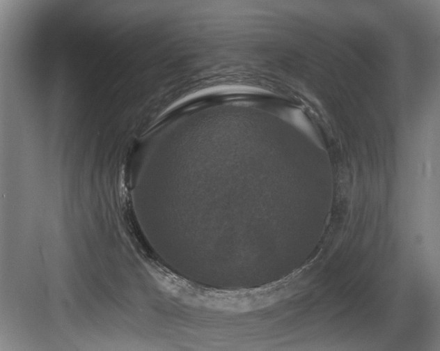 X0000083990029200702161144