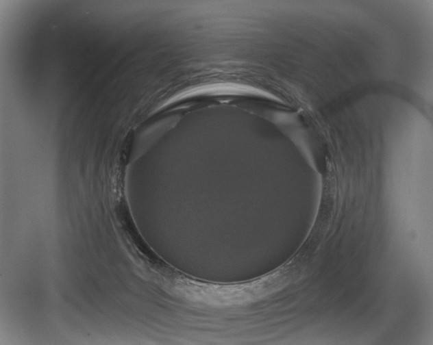 X0000083990031200702161144