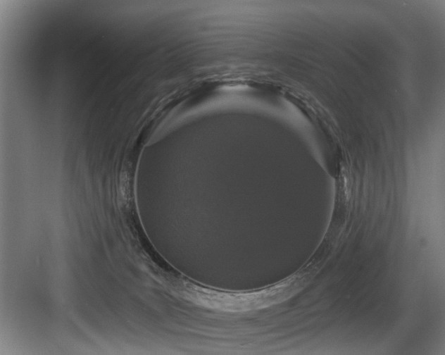 X0000083990035200702161144