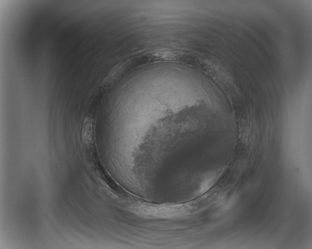 X0000083990036200702161144