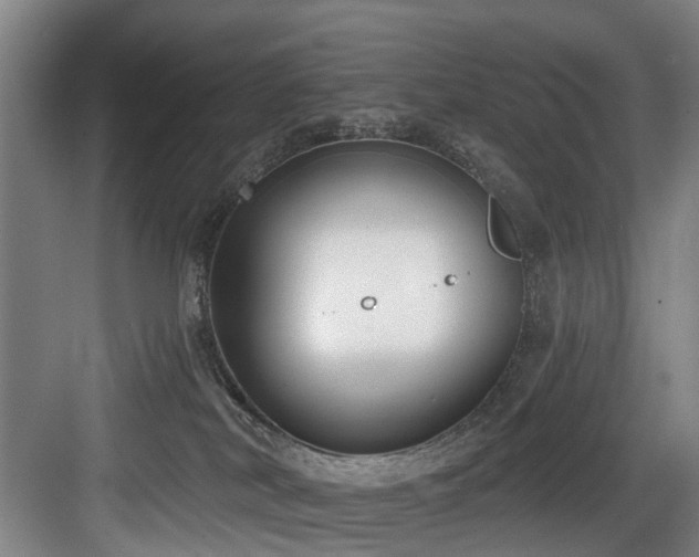 X0000083990038200702161144