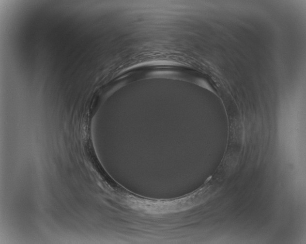 X0000083990039200702161144