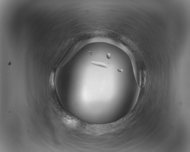 X0000083990041200702161144