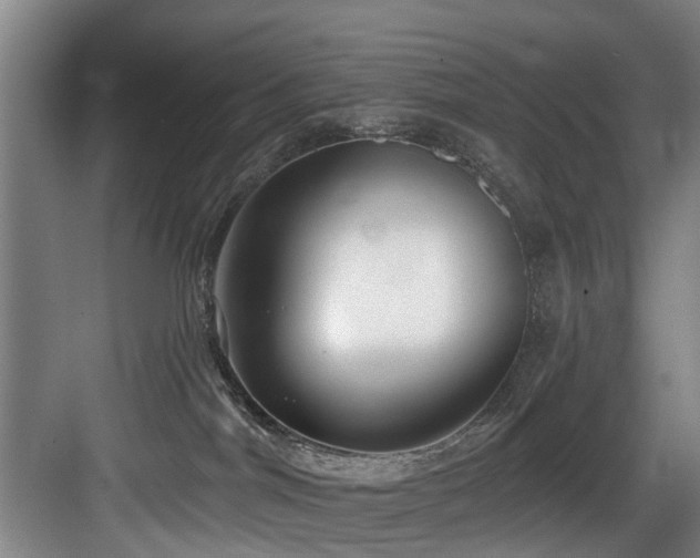 X0000083990044200702161144