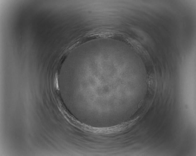 X0000083990046200702161144