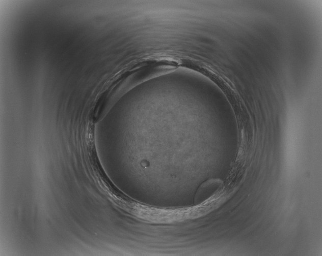 X0000083990048200702161144