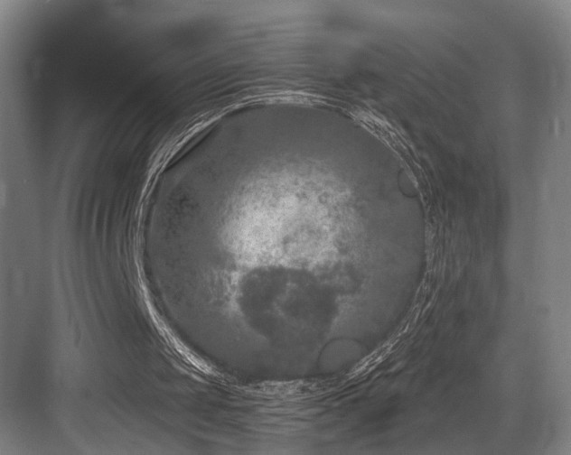 X0000083990049200702161143