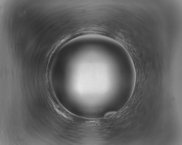 X0000083990050200702161143