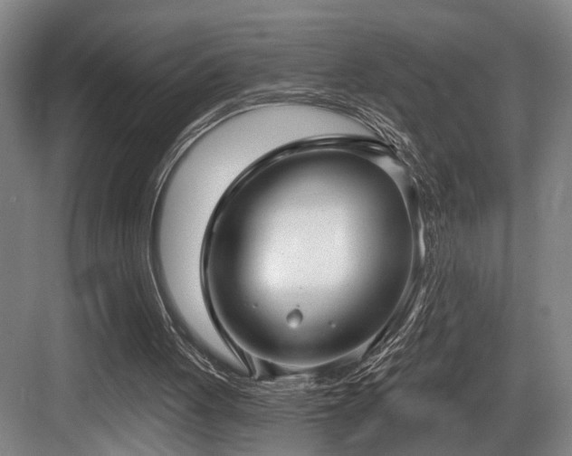 X0000083990051200702161143