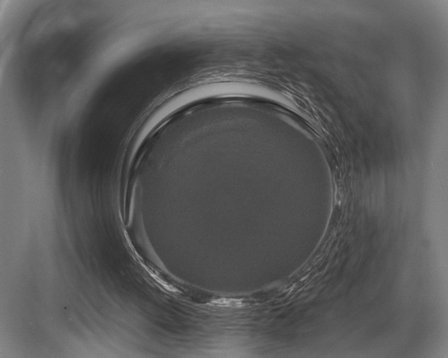 X0000083990052200702161143