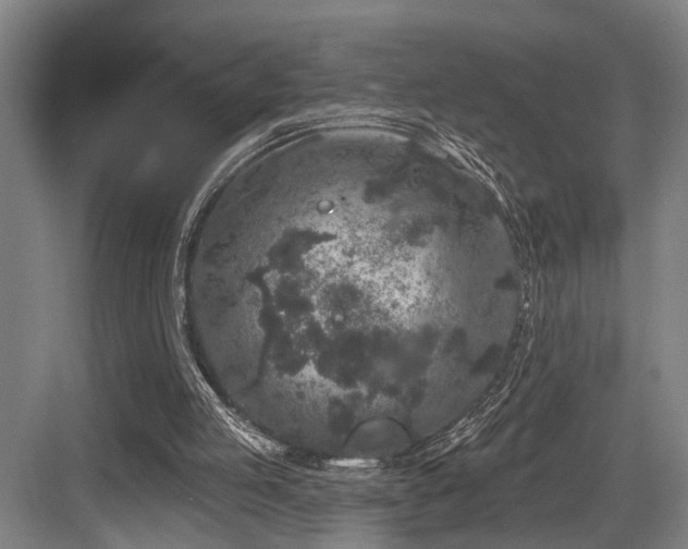 X0000083990053200702161143