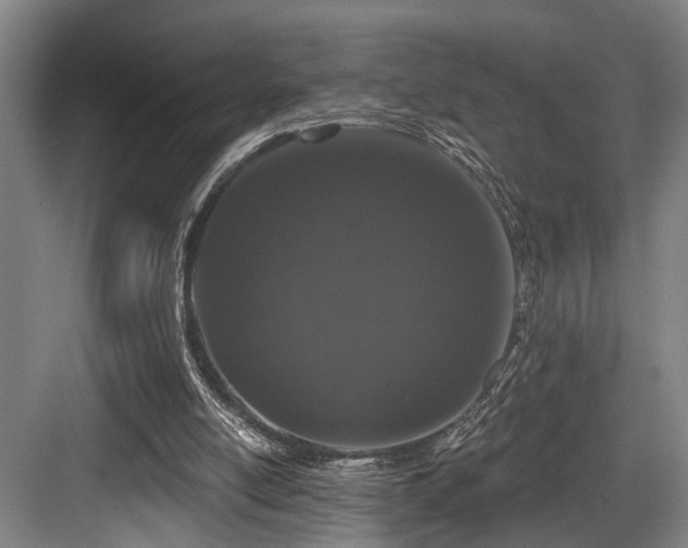 X0000083990054200702161143