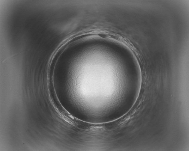 X0000083990055200702161143