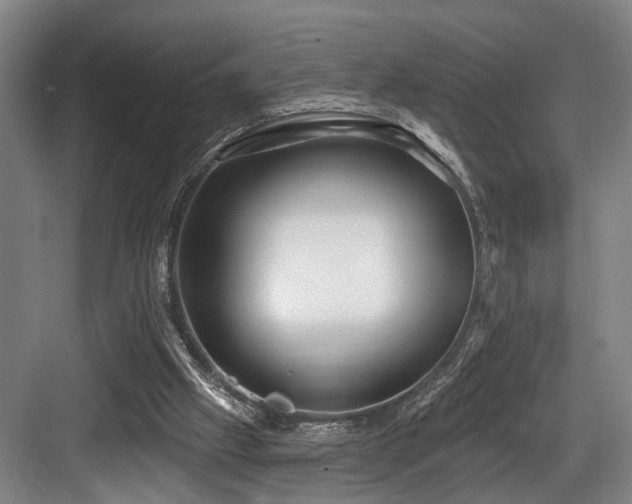 X0000083990057200702161143