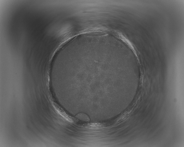 X0000083990059200702161143