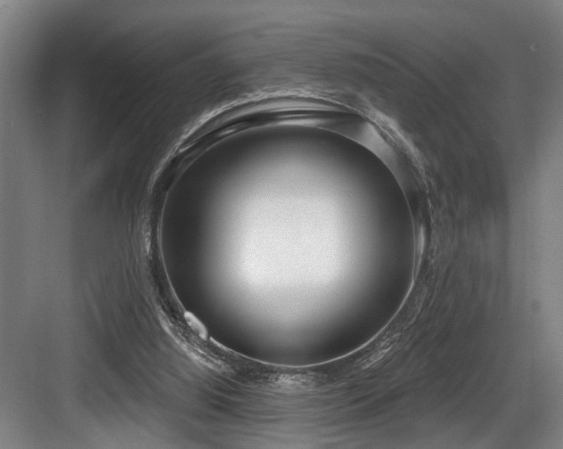 X0000083990060200702161143